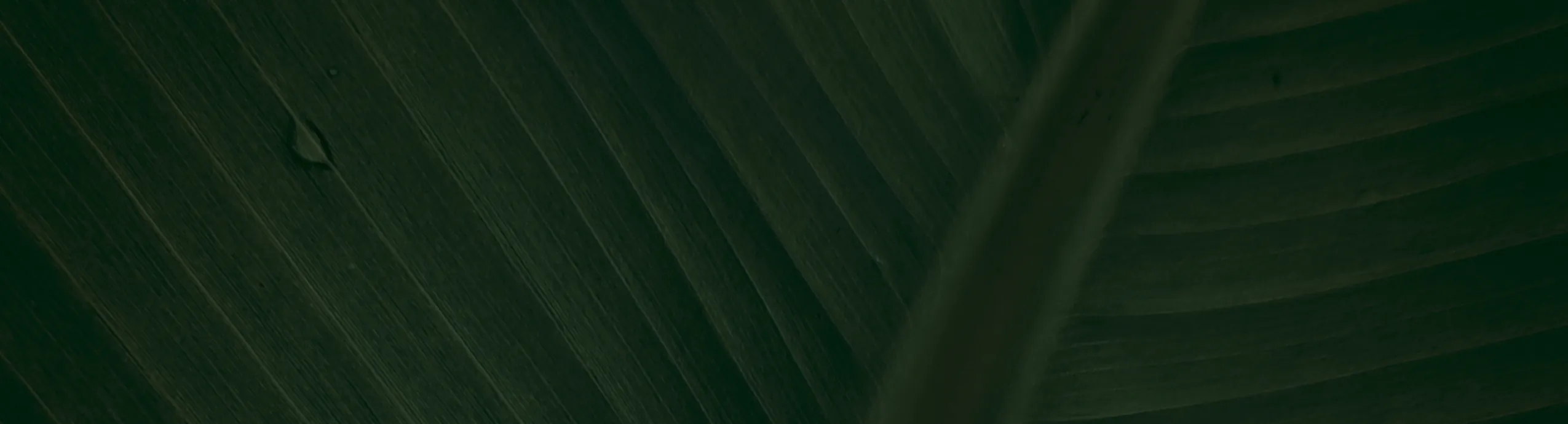 ACER 宏碁Aspire Lite AL15-75P-55FR 銀(CU5-225H/8G+8G/512G/Win11/15.6吋)輕薄電腦